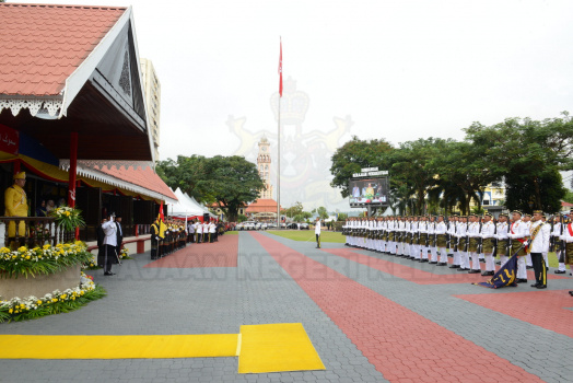 DSC 8467