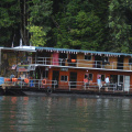 DSC 8661