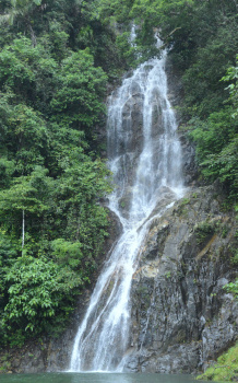 DSC 8686