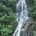 DSC 8686