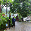 DSC 8861