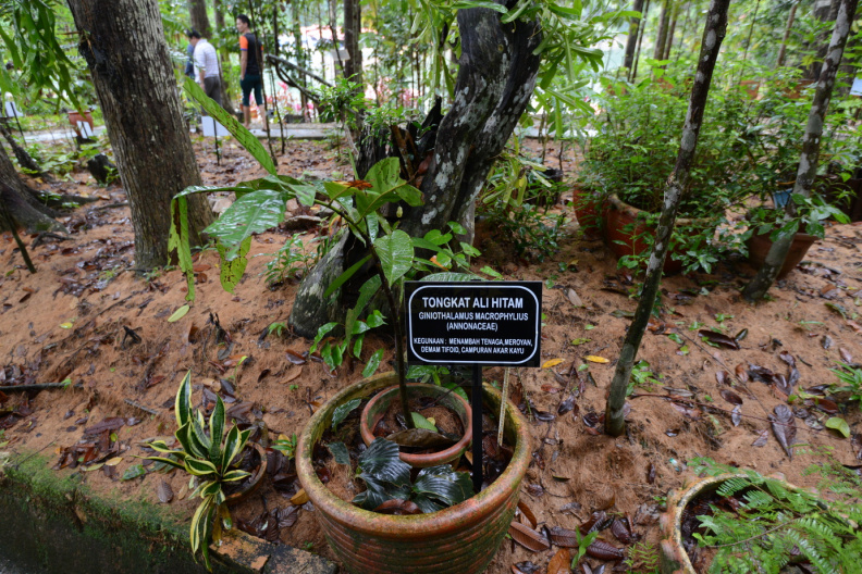 DSC_8877.JPG