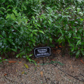 DSC 8878
