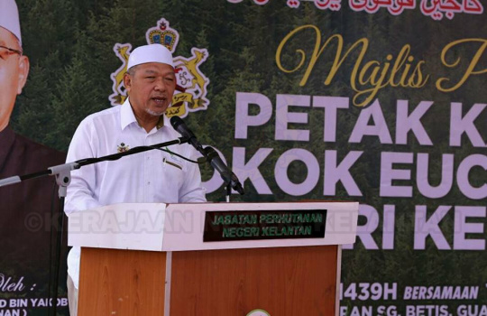 Pelancaran Petak Kajian Pokok Eucalyptus di Hutan Simpan Sg Betis, Gua Musang