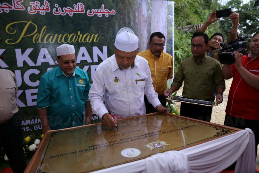 Pelancaran Petak Kajian Pokok Eucalyptus di Hutan Simpan Sg Betis, Gua Musang