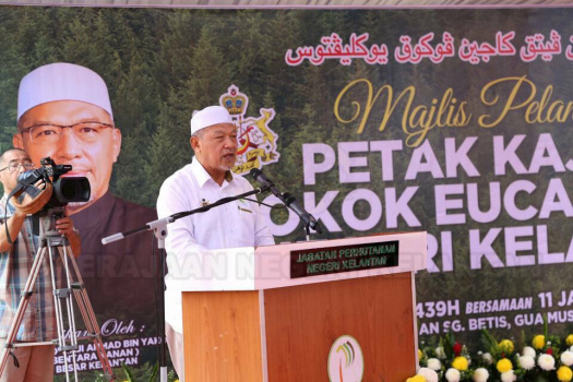 Pelancaran Petak Kajian Pokok Eucalyptus di Hutan Simpan Sg Betis, Gua Musang