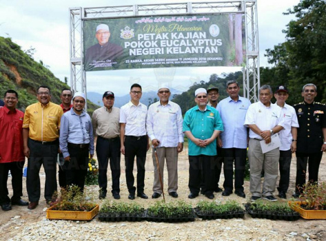 Pelancaran Petak Kajian Pokok Eucalyptus di Hutan Simpan Sg Betis, Gua Musang