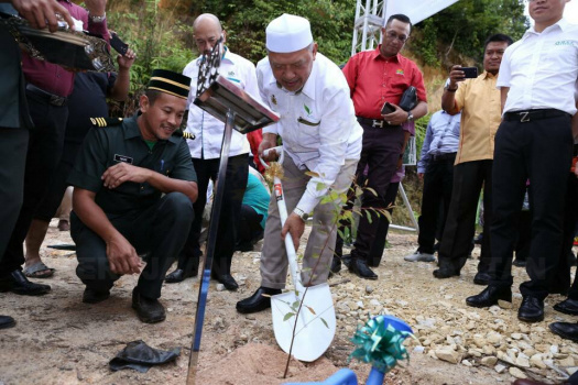 Pelancaran Petak Kajian Pokok Eucalyptus di Hutan Simpan Sg Betis, Gua Musang