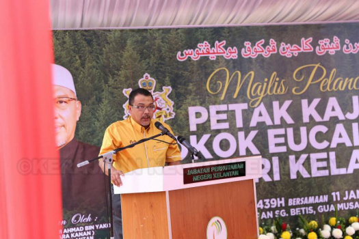 Pelancaran Petak Kajian Pokok Eucalyptus di Hutan Simpan Sg Betis, Gua Musang