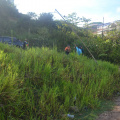 DSC 0013