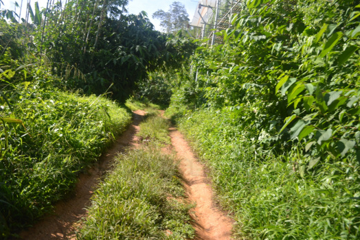 DSC 0024