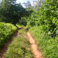DSC 0024
