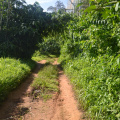 DSC 0025
