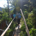 DSC 0029