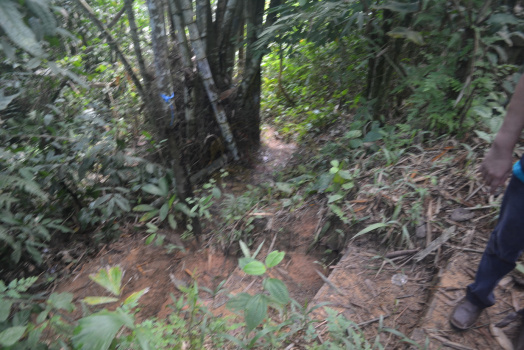 DSC 0044