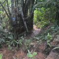 DSC 0045