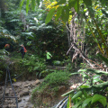 DSC 0056