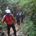 DSC 0064