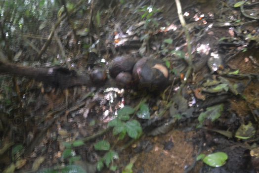 DSC 0073