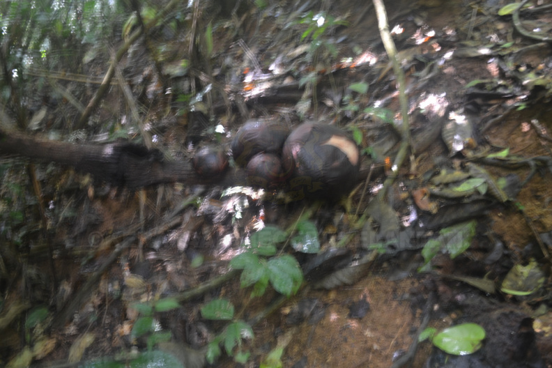 DSC_0073.JPG