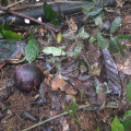 DSC 0080