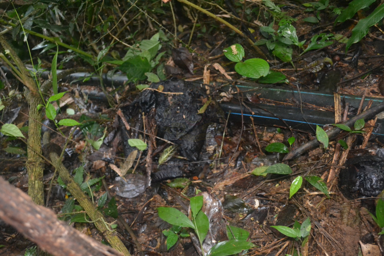 DSC_0082.JPG