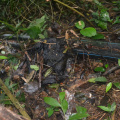 DSC 0082