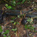 DSC 0083