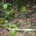 DSC 0084