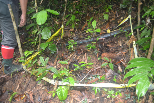 DSC 0085