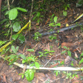 DSC 0085