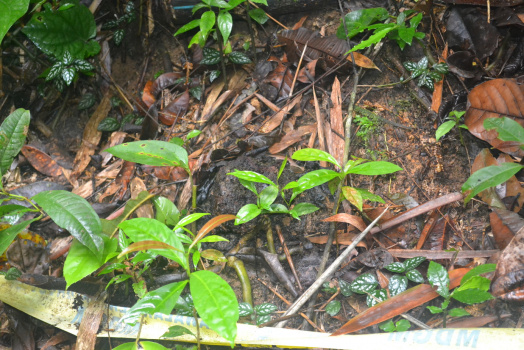 DSC 0086