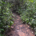 DSC 0094