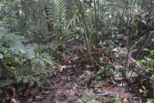 DSC 0097