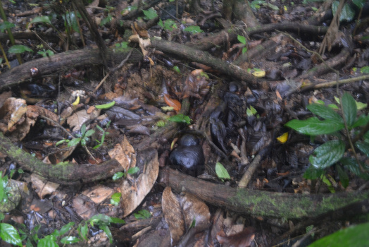 DSC 0099