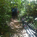DSC 0130