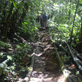 DSC 0137