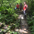 DSC 0140
