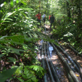 DSC 0143