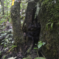 DSC 0150