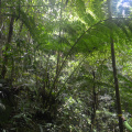 DSC 0160