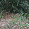 DSC 0175