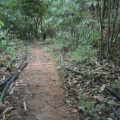 DSC 0176