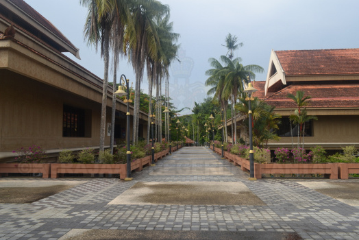 DSC 0250