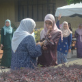 DSC 0490