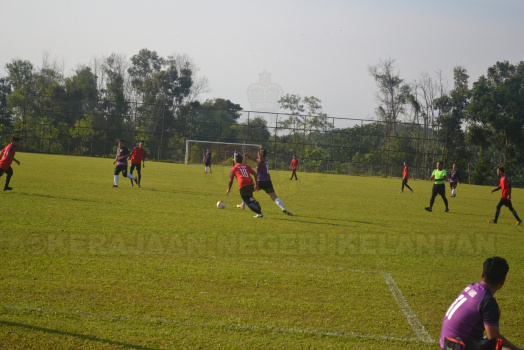 DSC 0331