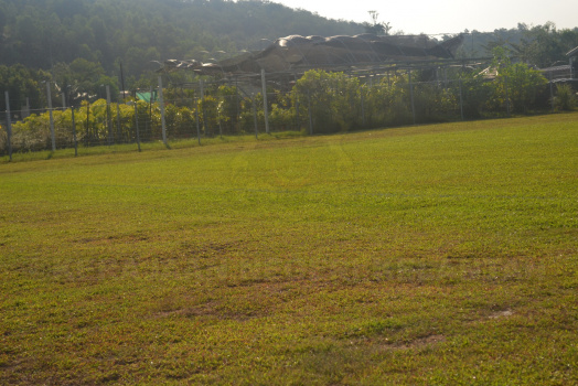 DSC 0335