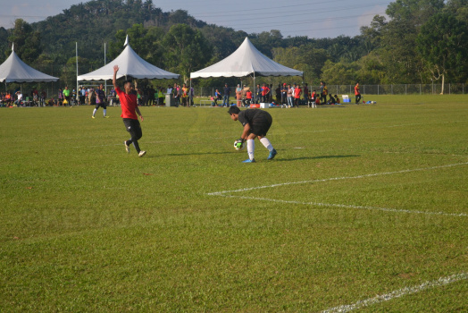 DSC 0341