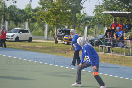 DSC 0705