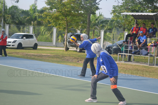 DSC 0706